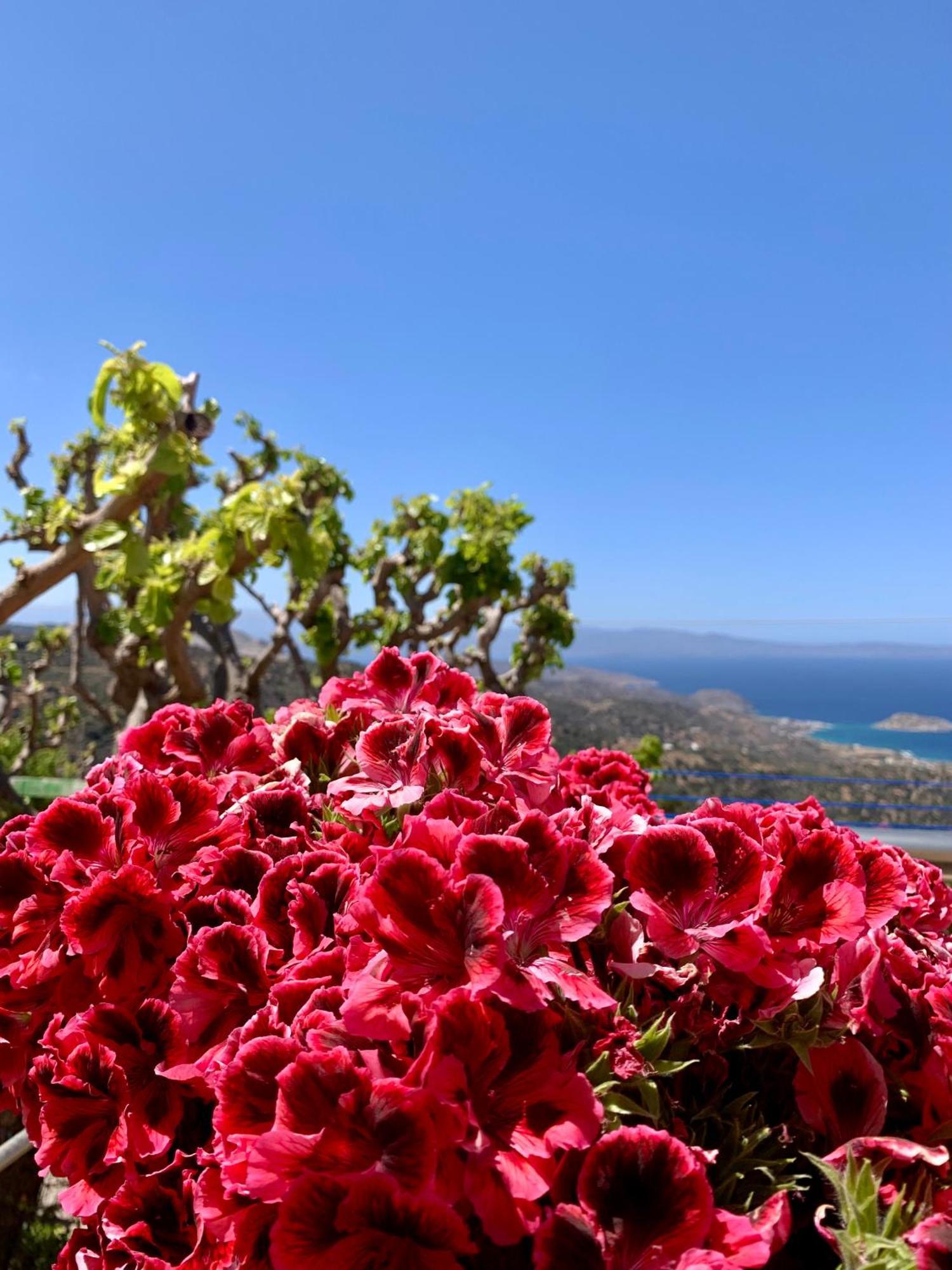 Morea Bay View Tourloti Bagian luar foto